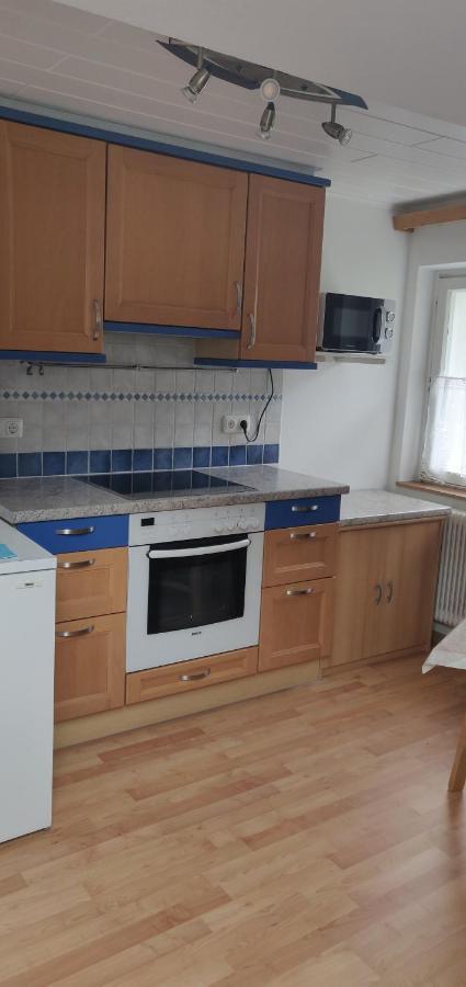 Ferienwohnung Stricker Obertraun Zewnętrze zdjęcie