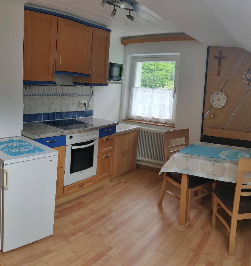 Ferienwohnung Stricker Obertraun Zewnętrze zdjęcie