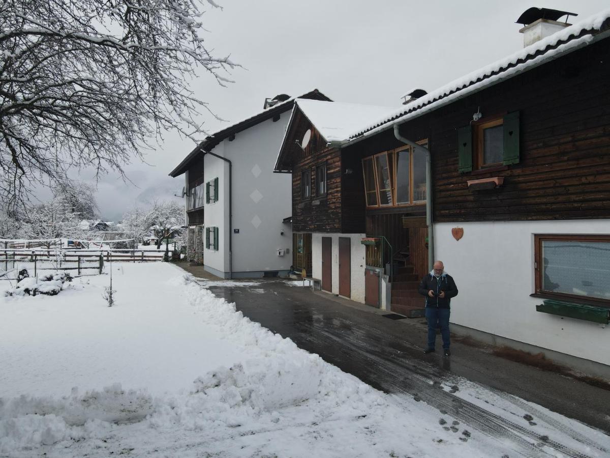 Ferienwohnung Stricker Obertraun Zewnętrze zdjęcie